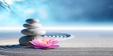 Omar Olavi - Pink Lily Stones On Sand  