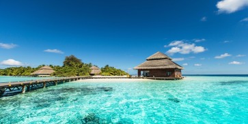 Dolores Flowers - Wooden Hut on Tropical Beach  