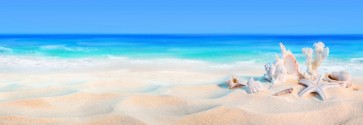 Vladimir Lug - Sea Shells on Beach I  