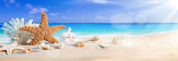 Vladimir Lug - Sea Shells on Beach II  