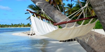 Brooke Ross - Hammock on Palm Tree  