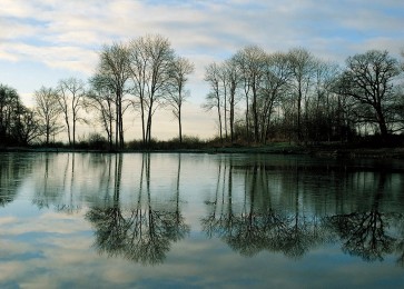 Derek Harris - Frozen Reflection