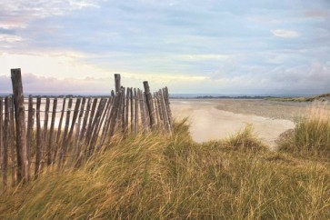 Assaf Frank - West Wittering Beach 