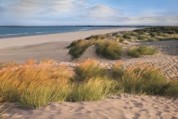 Assaf Frank - Sandy Shores
