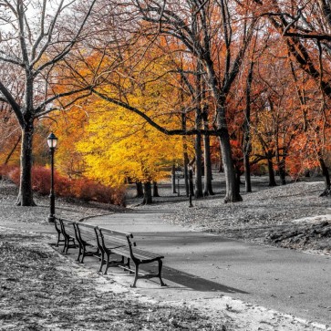 Assaf Frank - Park Pretty I