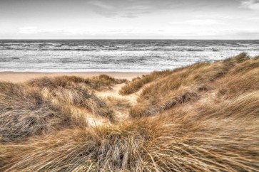 Assaf Frank - Beach Dunes