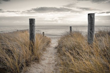 Assaf Frank  - Beach Day