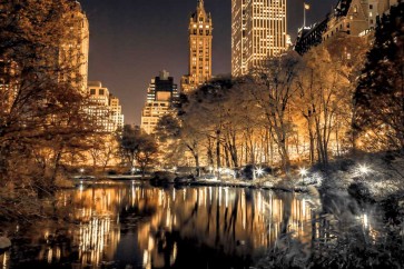 Assaf Frank - Central Park Glow