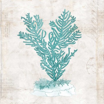 Sabine Berg - Under the Sea II