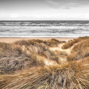 Assaf Frank - Beach Dunes