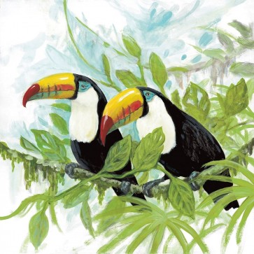 Arnie Fisk - Toucans