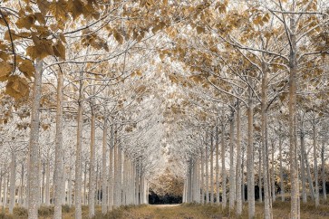 Assaf Frank - White Gold