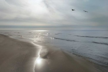 Monte Nagler - Beach Flight