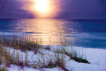 Mike Jones - Pensacola Moonrise 