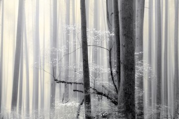 Marvin Pelkey - Still Silence 