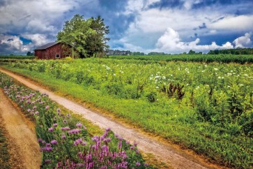 Celebrate Life Gallery - Family Farm