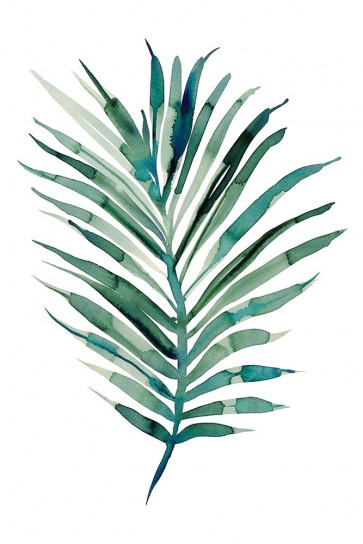 Marina Billinghurst - Areca