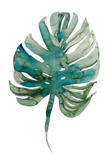 Marina Billinghurst - Monstera