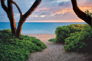 Dennis Frates - Beach Time