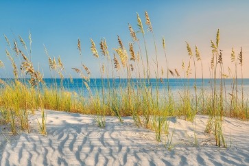 Dennis Frates - I Love the Beach