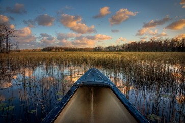Celebrate Life Gallery - Canoeing on the River