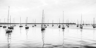 Assaf Frank - Anchored Sails