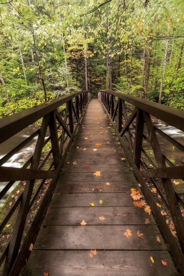 D. Burt - Autumns Bridge
