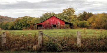 D. Burt - Down On The Farm
