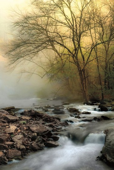 D. Burt - One Spring Morning