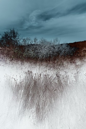Roy Hoh - Lentic Dream II