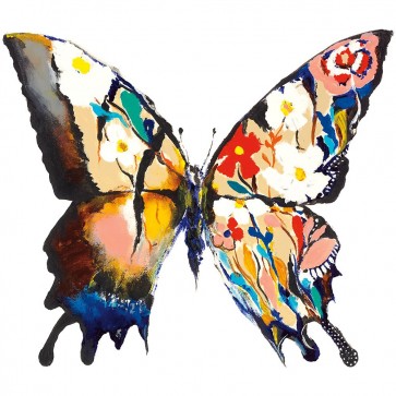 Aziz Kadmiri - Papillon Daisy