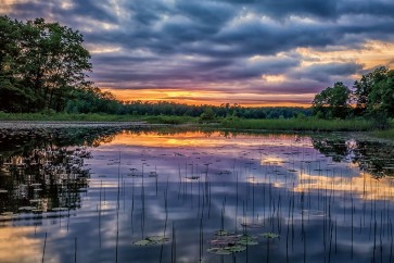 Gail Howarth - Sunset Reflections
