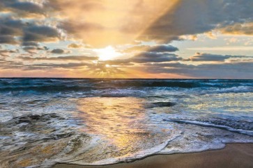 Beach Sunset