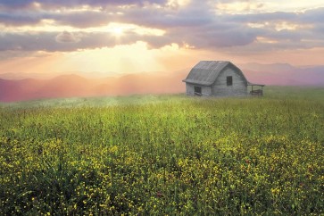 Celebrate Life Gallery  - Morning Has Broken