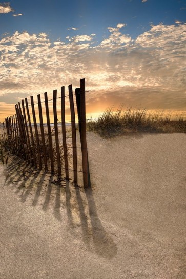 Celebrate Life Gallery  - Dune Fence at Sunrise