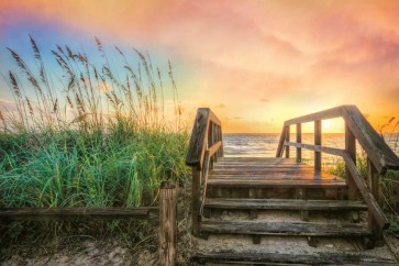 Celebrate Life Gallery - Walk Into Sunrise
