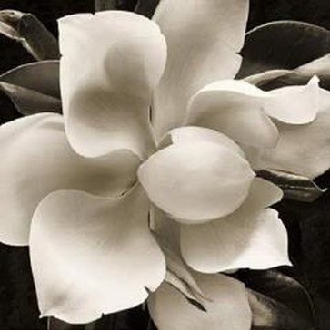 Christine Elizabeth - Unfolding II