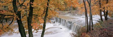 Danny Burk - Anderson Falls