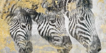 Dina Perejogina - Zebra 