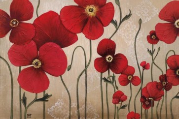 Maja - Demoiselles Prise 