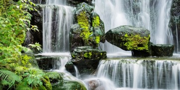 Stephen Yong - Tropical Water Fall  