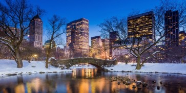 Ben McFrey - Gapstow Bridge in Winter, Central Park  