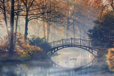 Automn - Old Bride Misty Park  