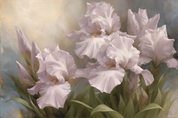 Igor Levashov - White Iris Elegance II  