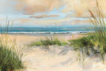 Sally Swatland - Cathcing The Wind  