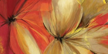 Allison Pearce - Sharing The Spotlight 