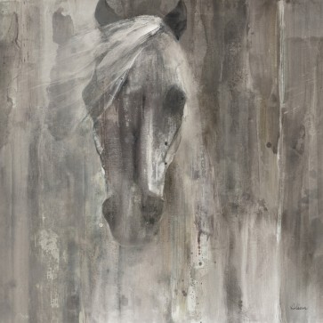 Albena Hristova - Shadow Light 