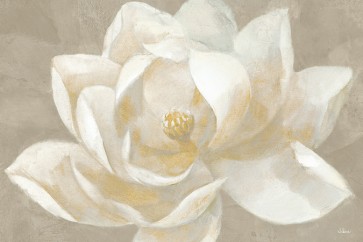 Albena Hristova - Magestic Beige  