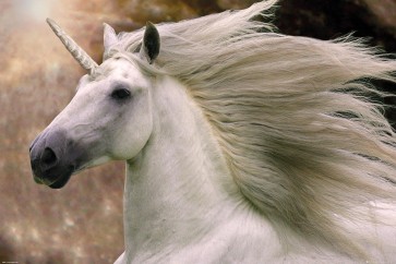 Bob Langrish - Unicorn