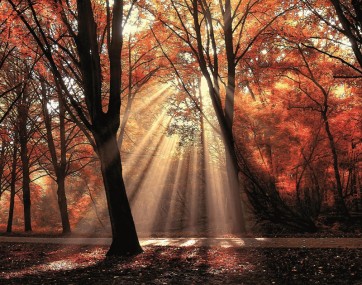 Lars Van de Goor - Dressed To Shine